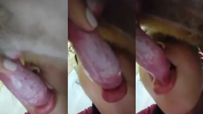 Sucking dog