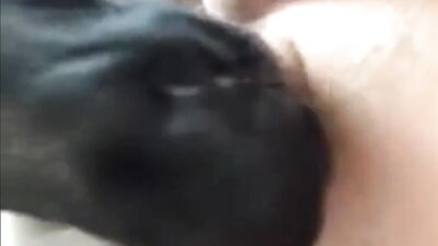 super hot brush bate and lick