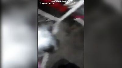Teen dog