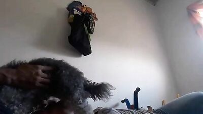 Sucking dog cock