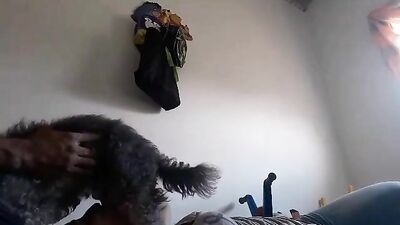 Sucking dog cock