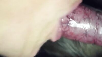 Sucking cumming dog cock