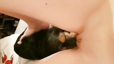 Teen eaten out by dog