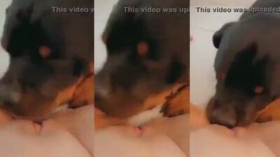 Short lick vid