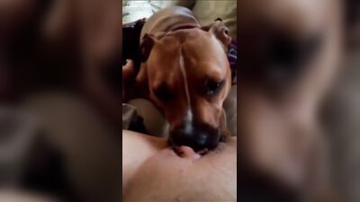 orgasm real compilation