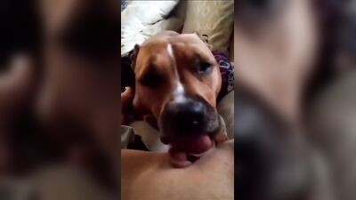 orgasm real compilation