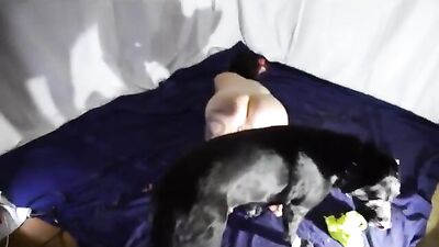 Njufie lesson 2