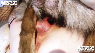 Milking The Dog
