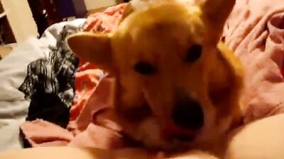 Licking in Bed