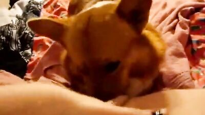 Licking in Bed