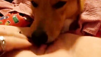 Licking in Bed