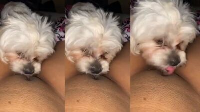 lick in bed