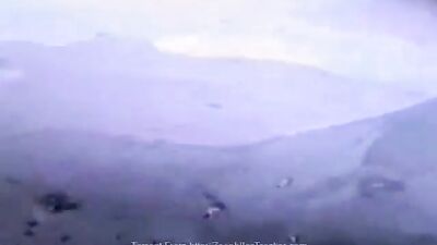 masturbating a female dolphin