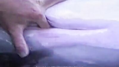 masturbating a female dolphin