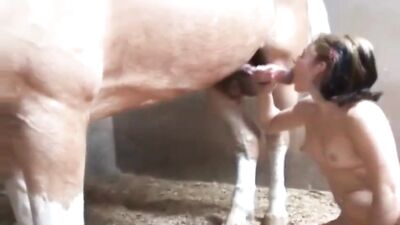 Sucking and Enjoying with the Horse 4