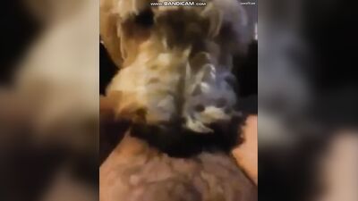 loud moaning teen gets hairy pussy licked