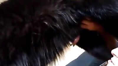 Mary Jane sucking some doggy cock