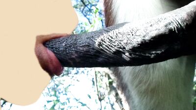 the animals fuck the boy in womens underwear
