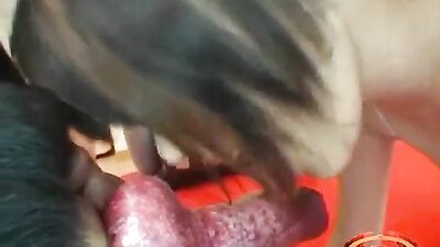 MAD Cumsuckers Volume 2