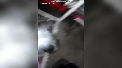 lick from black dog