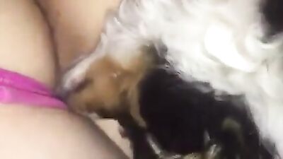 Helping dog lick unaware teen