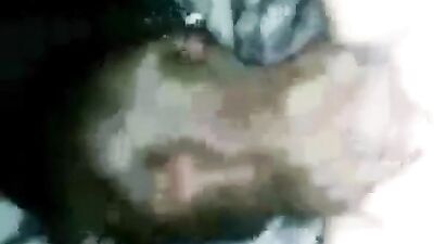Lab licks pussy deep