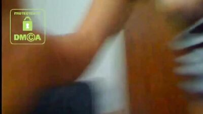 Latina Dog Webcam 1