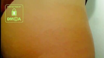 Latina Dog Webcam 1