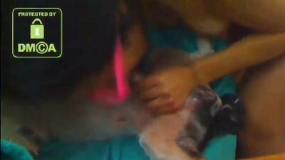 Latina Dog Webcam 1
