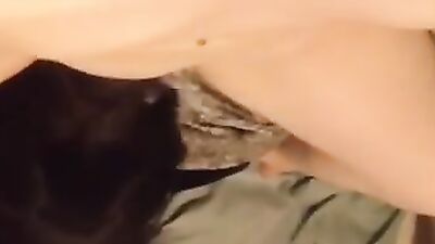 Lab licks pussy