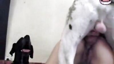 Cumming like a Bitch 6