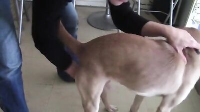 french mature suck cock