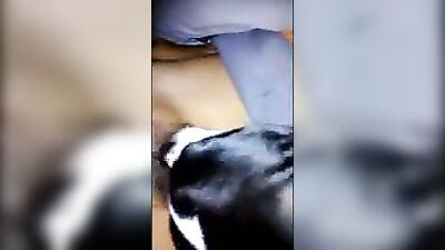 Dog licking passed out teen pussy