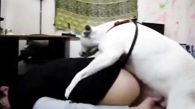 Dog Sex 2