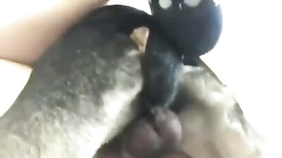 Dog Sex 1