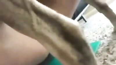 Dog Sex 1