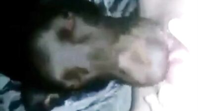 Dog Licking Pussy Compilation