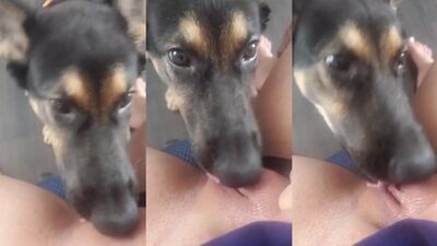 Dog licks milf