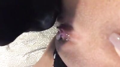 Dog licks honey off of pussy