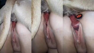 Brutal Russian Webcam Babe Gets Railed By Hung Stud