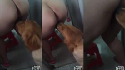 Chinese girl licked by dog