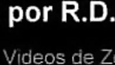 Boquete Animal