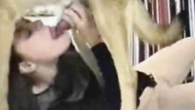 Boquete Animal