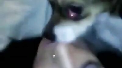 Beautiful girl french kiss with dog