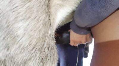 Best Horse Cum 2