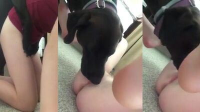 black dog lick teen pussy and fuck