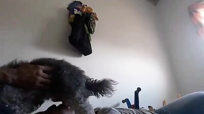 Sucking and receiving cum in the mouth