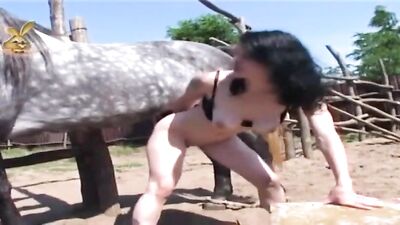 Black Hair, Big Tits And Fucking A Horse