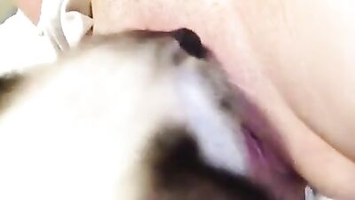 Slender Sissi Satisfies Feline Friends Cravings