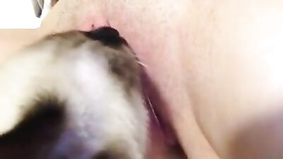 Slender Sissi Satisfies Feline Friends Cravings